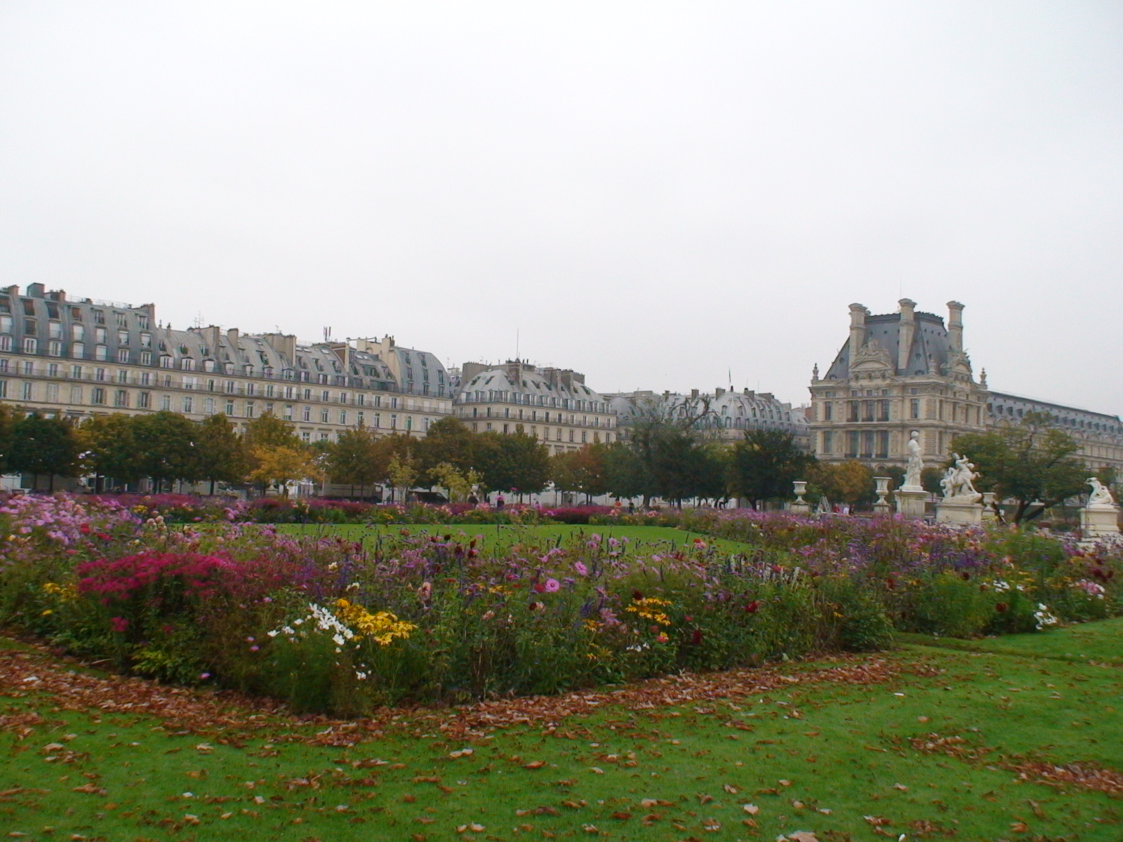 DSC08535.JPG